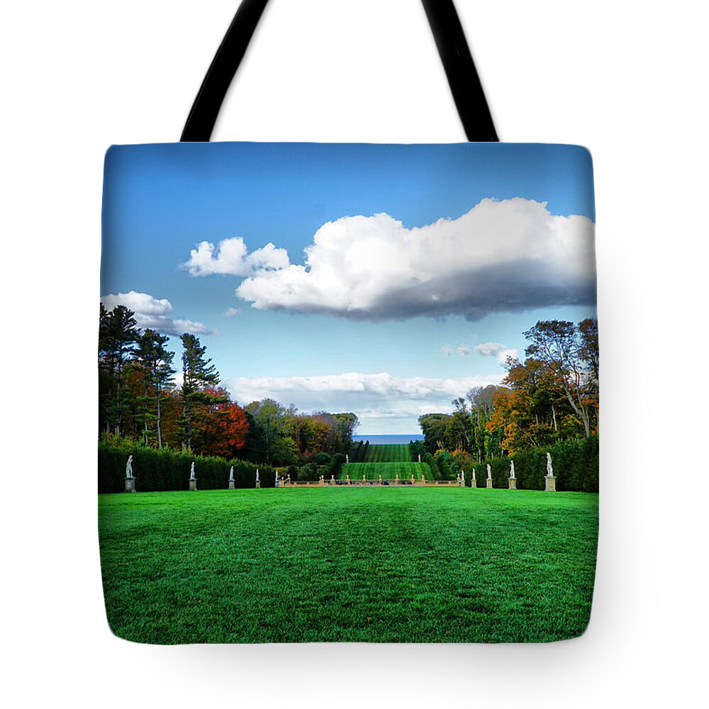 The View Tote Bag featuring the photograph The View from Castle Hill backyard by Lilia S