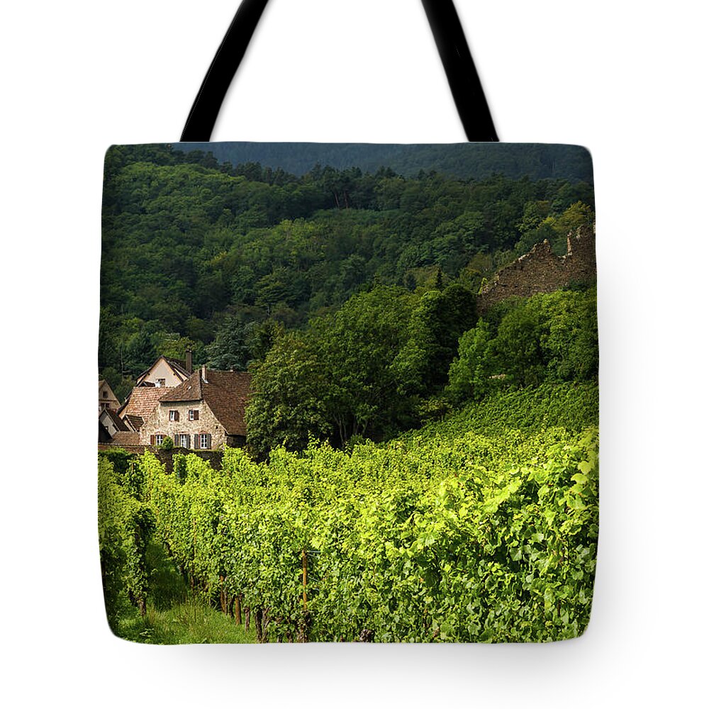 Vineyards Tote Bag featuring the photograph The vineyards of Kaysersberg - Alsace - France by Paul MAURICE