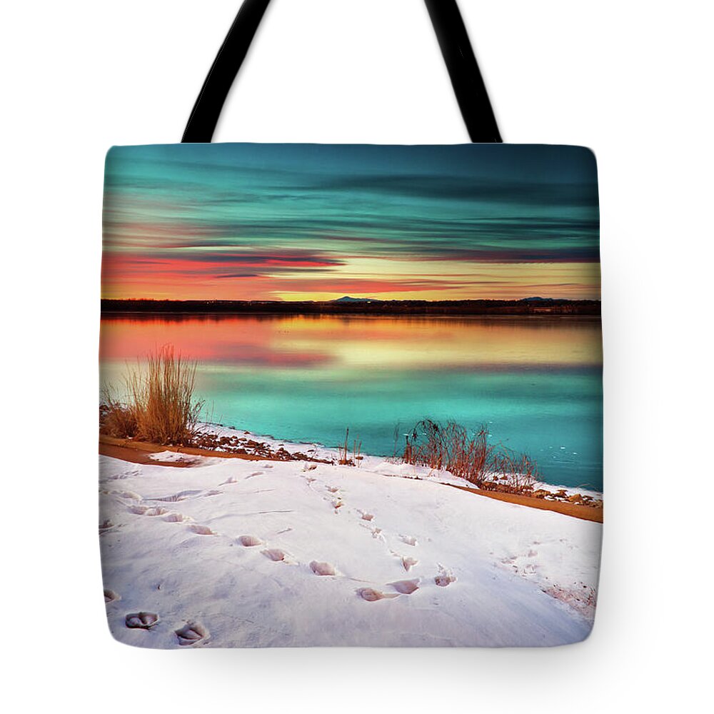 Cherry Creek State Park Tote Bag featuring the photograph The Visitors by John De Bord