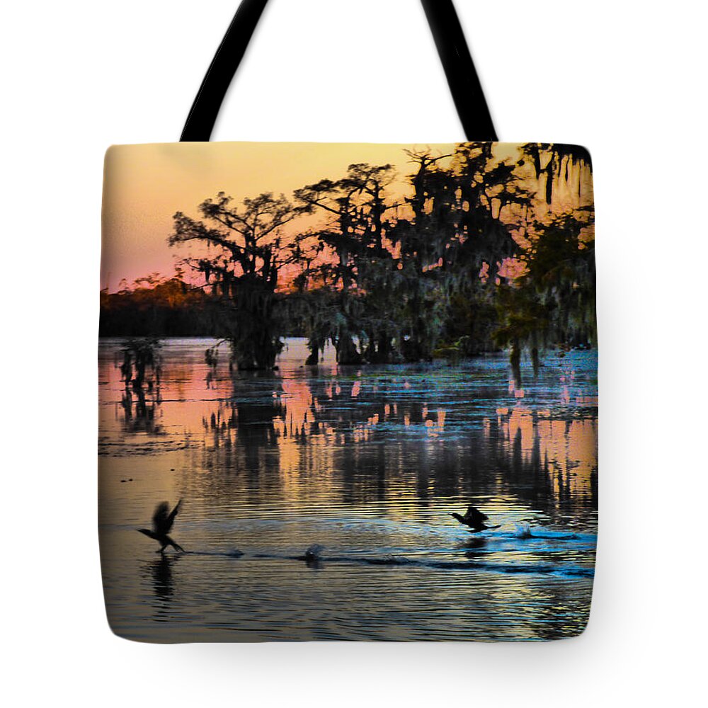 Orcinus Fotograffy Tote Bag featuring the photograph The Walk Of Life by Kimo Fernandez