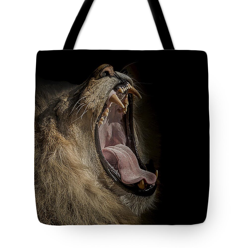 Lion Tote Bag featuring the photograph The War Cry by Paul Neville