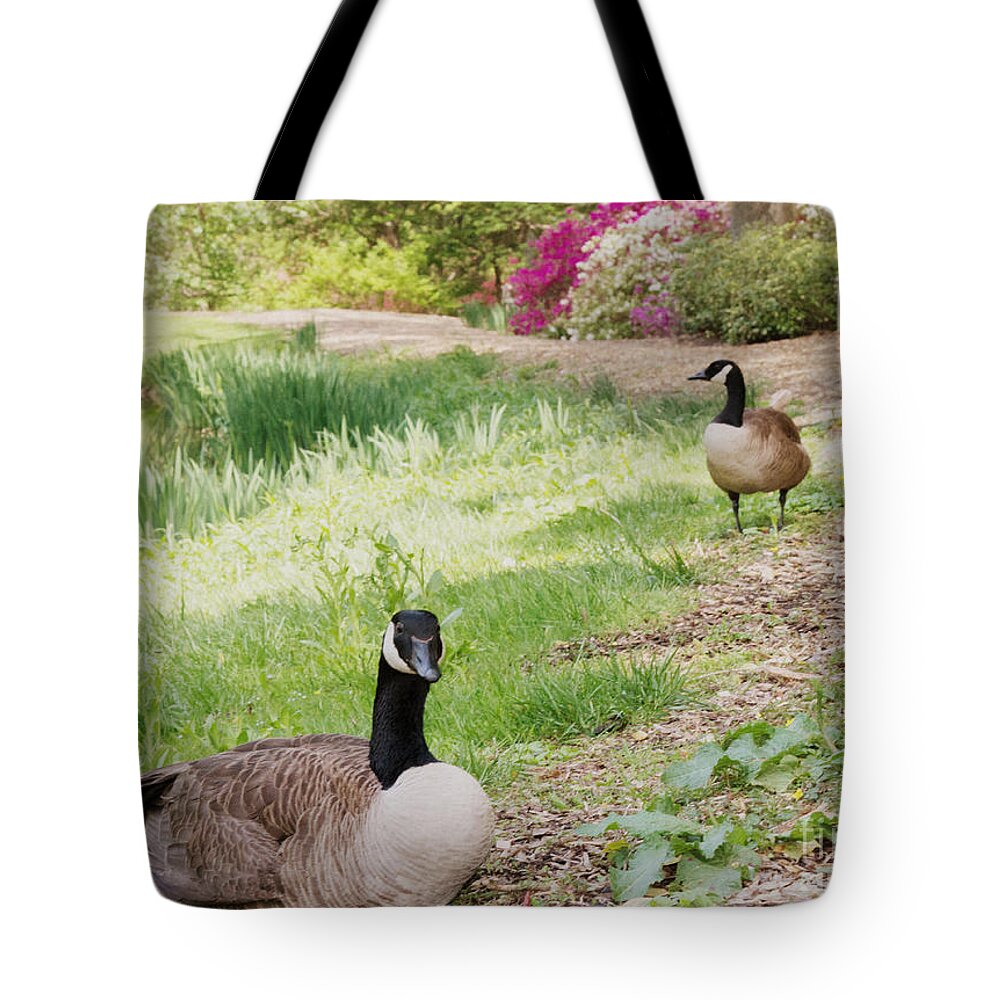 Canada Geese Tote Bag featuring the photograph The Watchman by Chris Scroggins