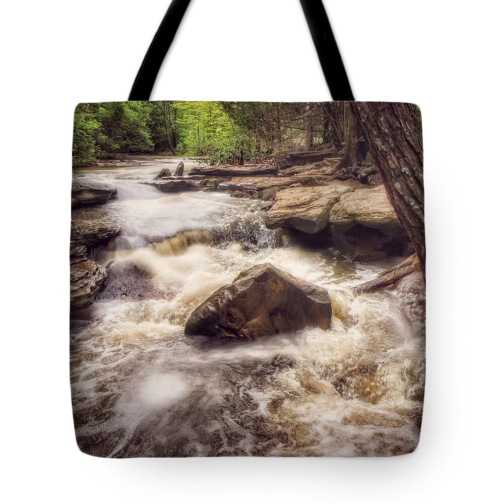 Waterfall Tote Bag featuring the photograph The Water Gush by Doris Aguirre
