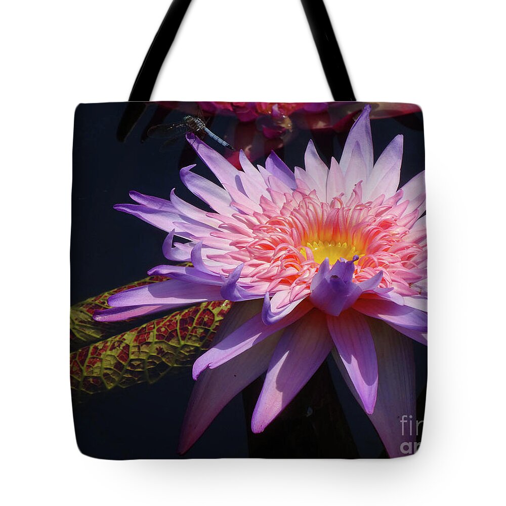 Flowers Tote Bag featuring the photograph The Water Lily Pond by Cindy Manero