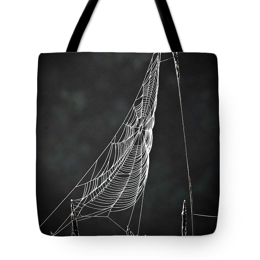 Web Tote Bag featuring the photograph The Web by Tom Cameron