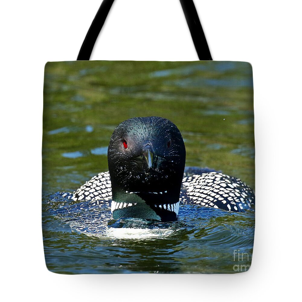 Loon Tote Bag featuring the photograph The Wet Look by Heather King