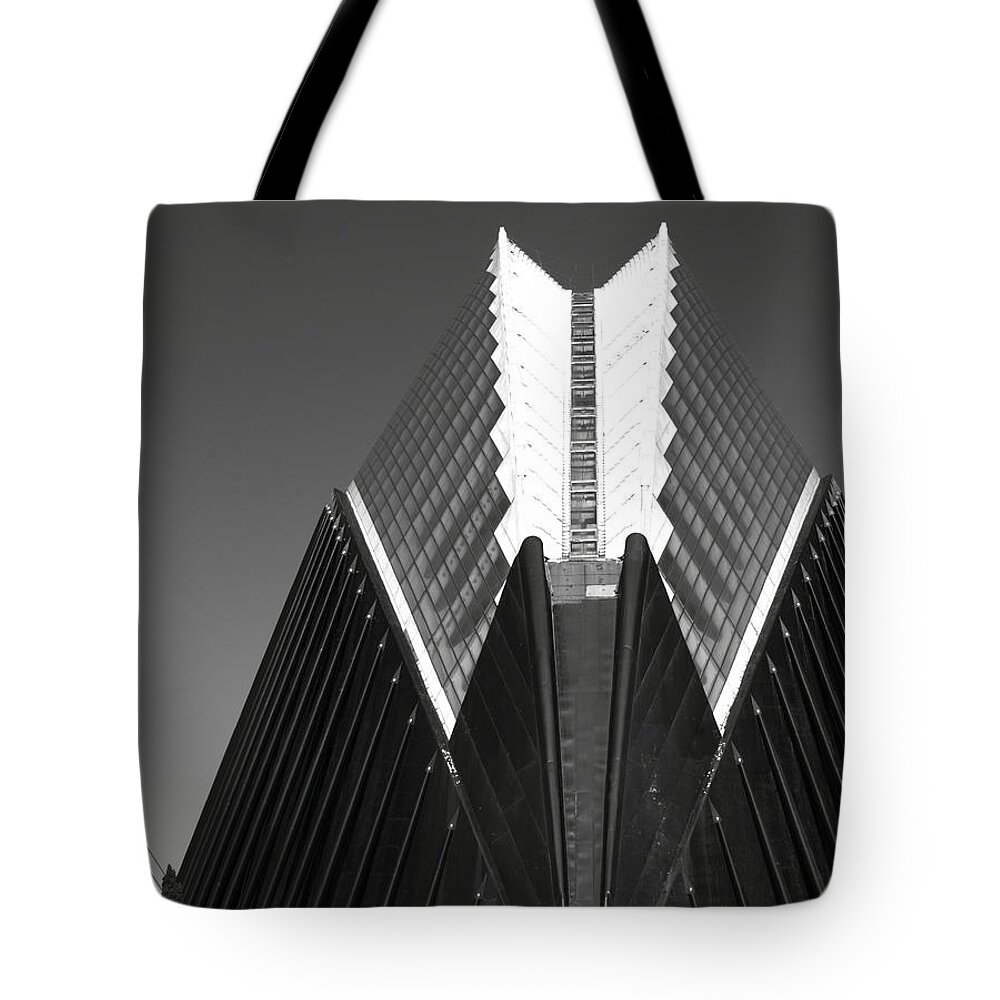 Architecture Tote Bag featuring the photograph The whale by Emme Pons