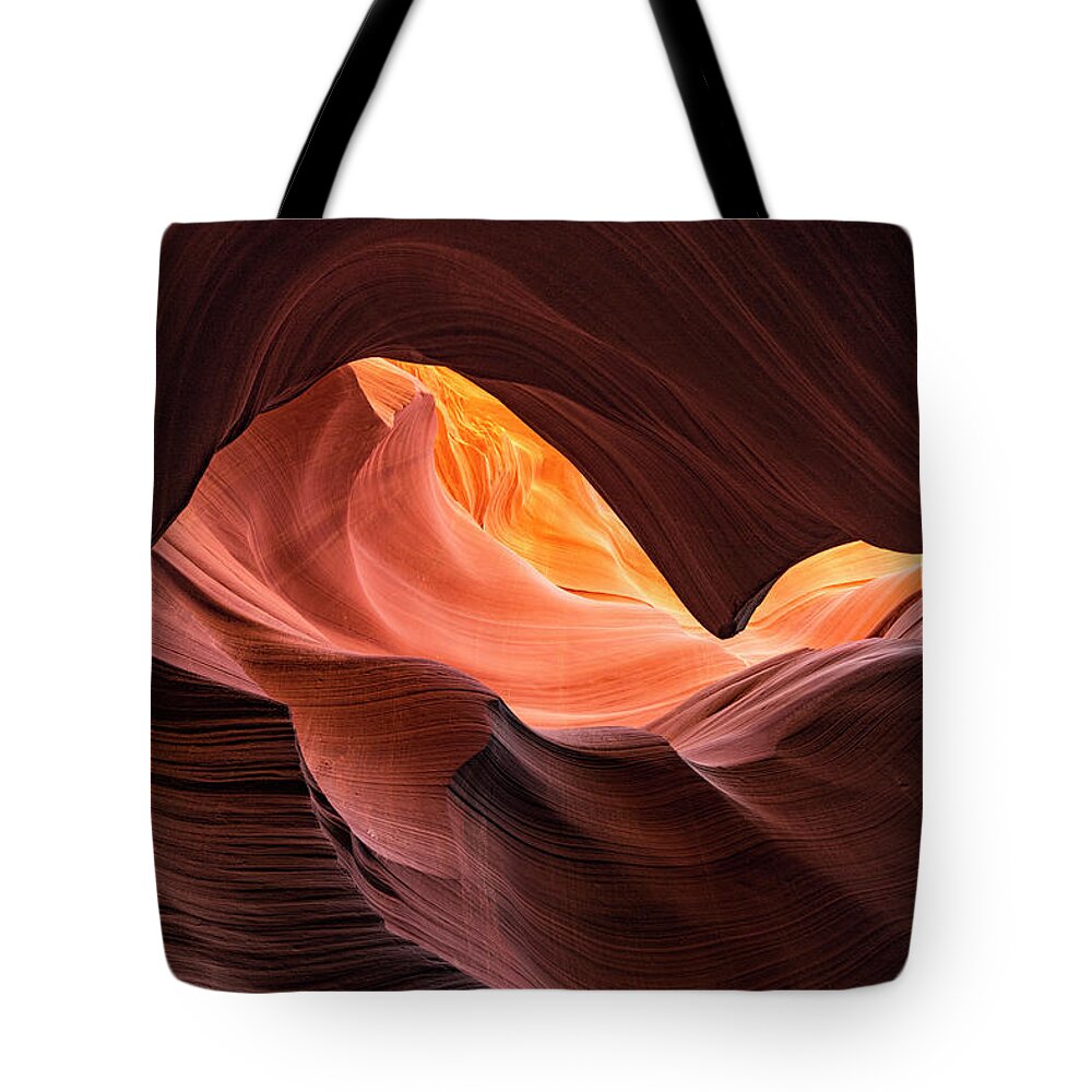 Whale Tote Bag featuring the photograph The Whale by Erika Fawcett