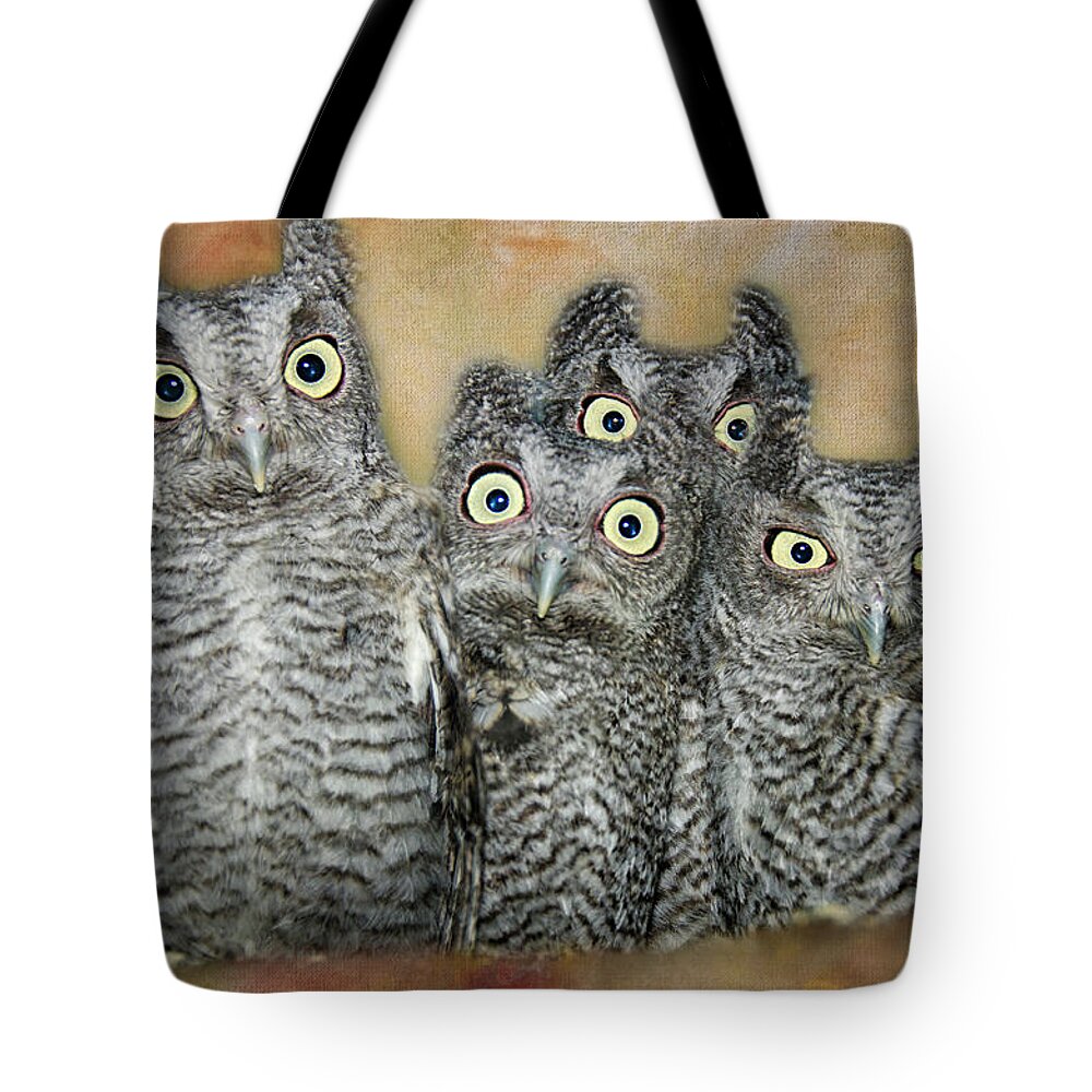 Screech Owls Tote Bag featuring the photograph The Who by Peg Runyan
