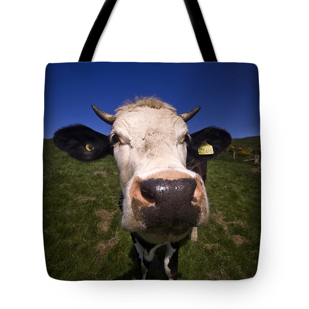 Cow Tote Bag featuring the photograph The wideangled cow by Ang El