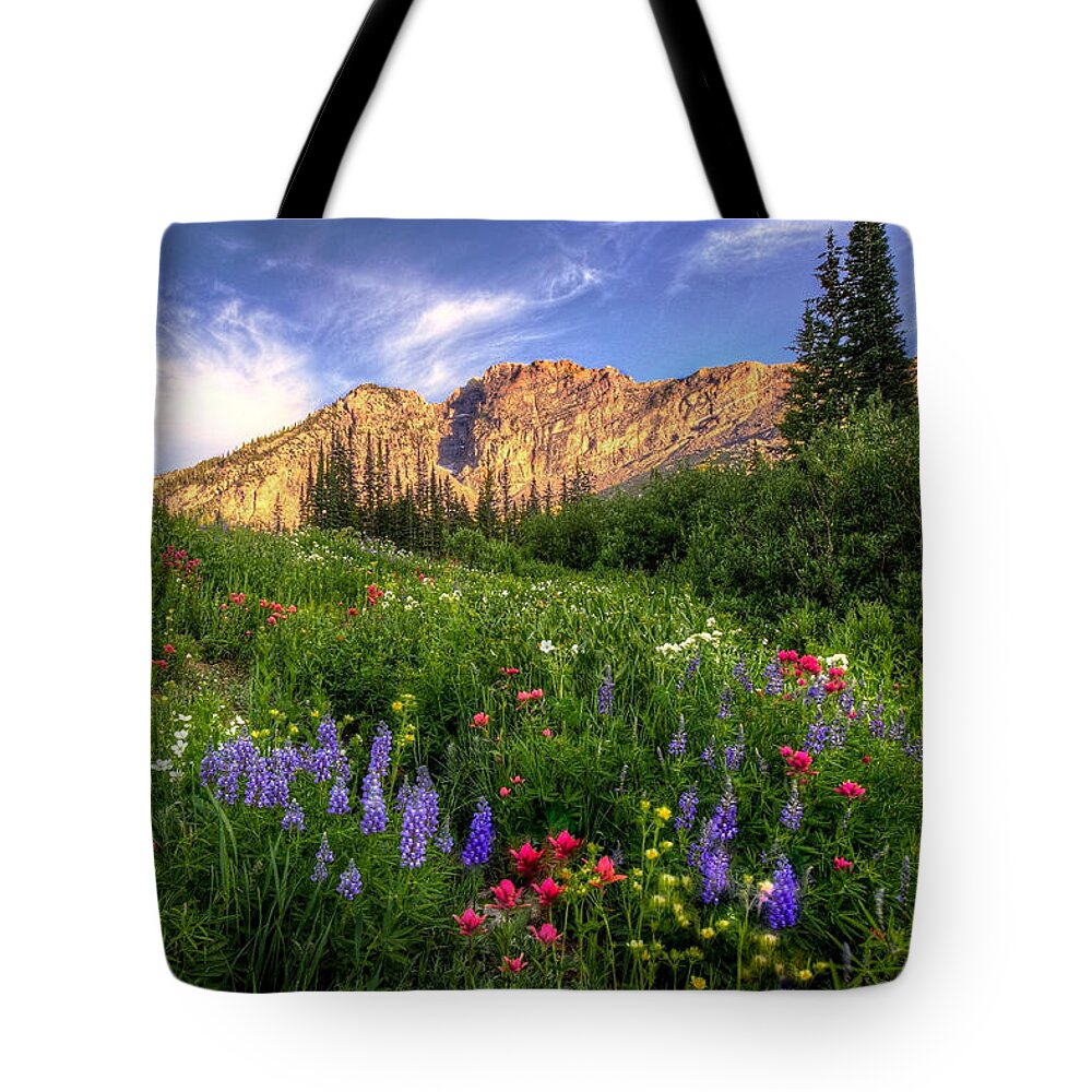 Albion Basin Tote Bag featuring the photograph The Wild Albion Basin by Ryan Smith