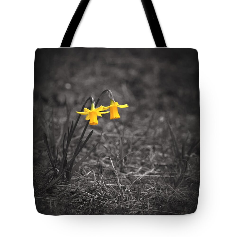Selective Colors Tote Bag featuring the photograph The World Around Us by Yuka Kato