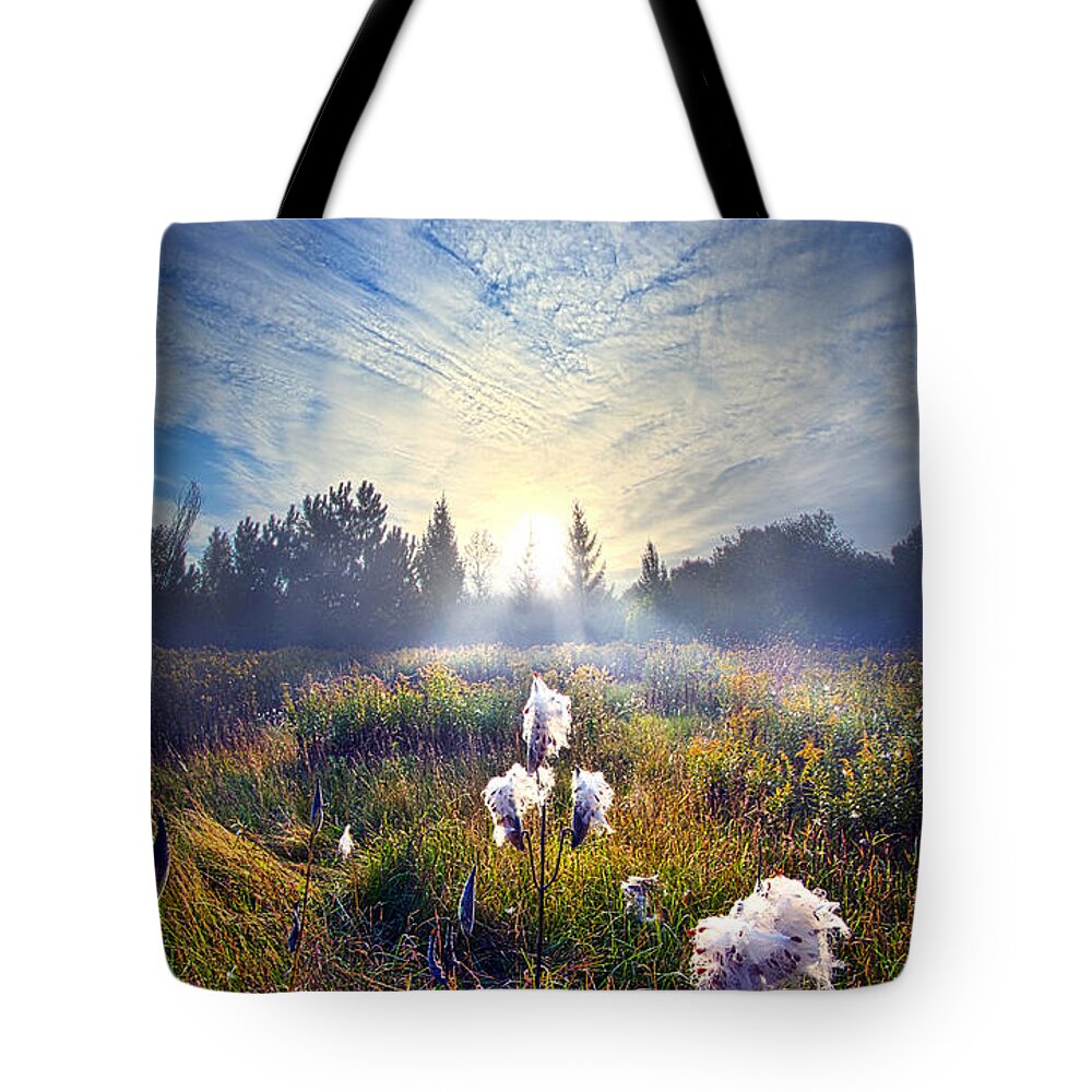 Milkweed Tote Bag featuring the photograph There are Times I Fear I Lose Myself by Phil Koch