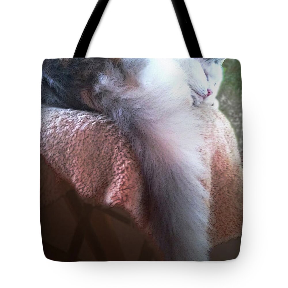 Cat Tote Bag featuring the photograph Thereby Hangs a Tail by Ginny Schmidt