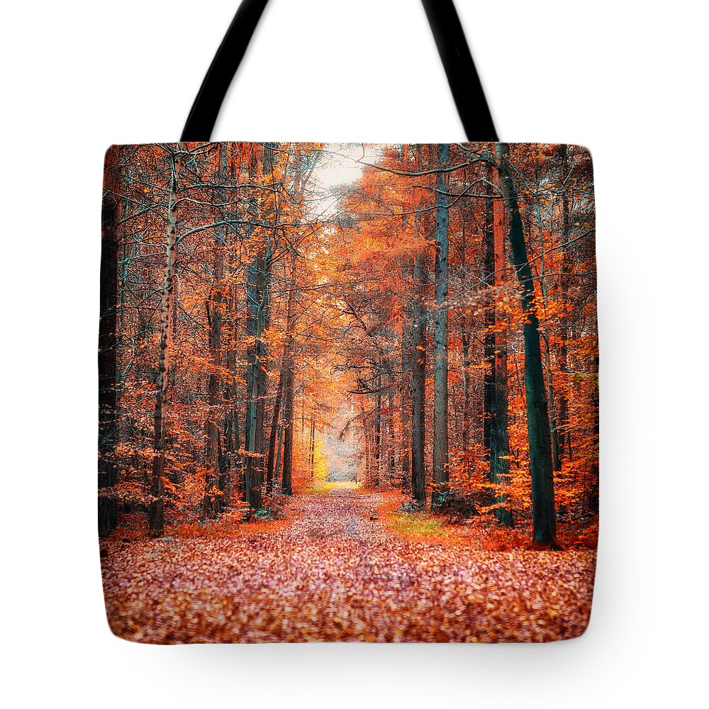 Autumn Tote Bag featuring the photograph Thetford Forest by James Billings