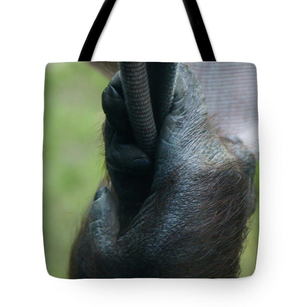 Orangutan Tote Bag featuring the photograph They Hang In The Balance - 2 by Linda Shafer