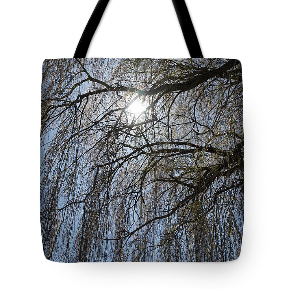 Silhouette Tote Bag featuring the photograph Thick and Thin - by Julie Weber