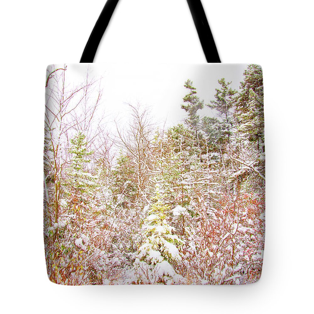 Thicket Tote Bag featuring the photograph Thicket by a Country Road in Winter by A Macarthur Gurmankin