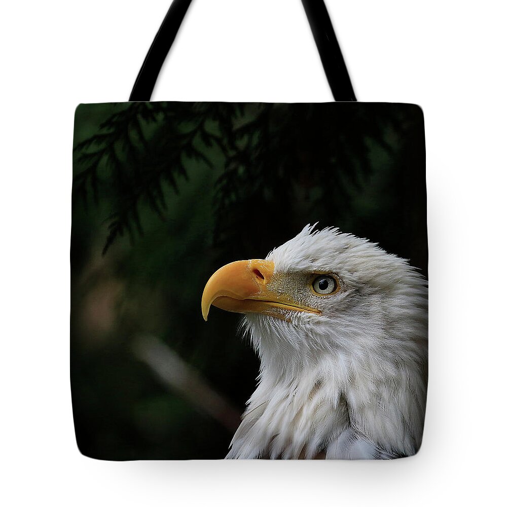 Eagle Tote Bag featuring the photograph Things Are Looking Up by Steve McKinzie