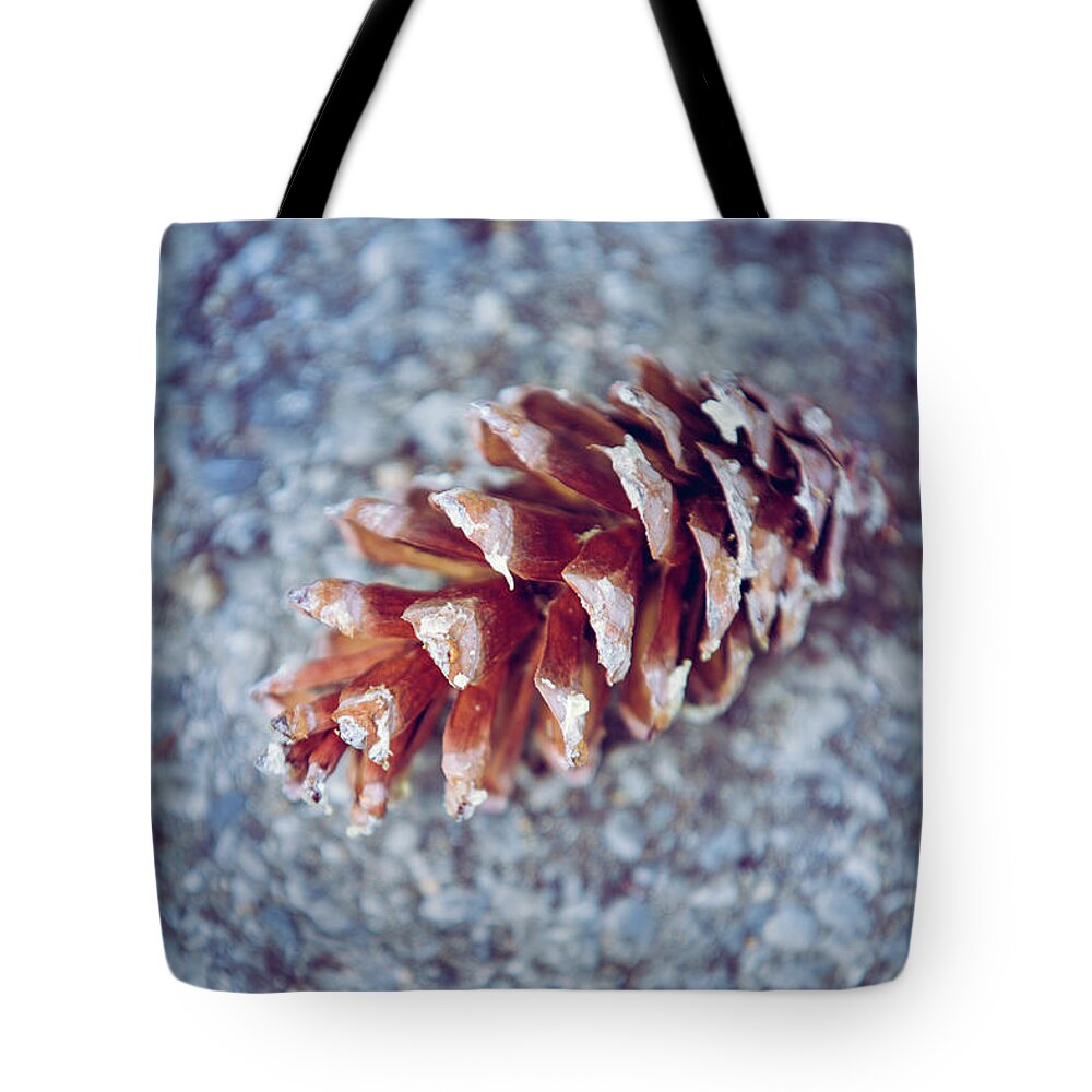 Autumn Tote Bag featuring the photograph Things of Autumn by Elvira Pinkhas