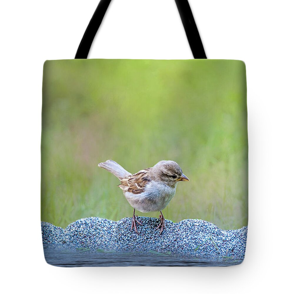 Avian Tote Bag featuring the photograph Thirsty Sparrow by Cathy Kovarik
