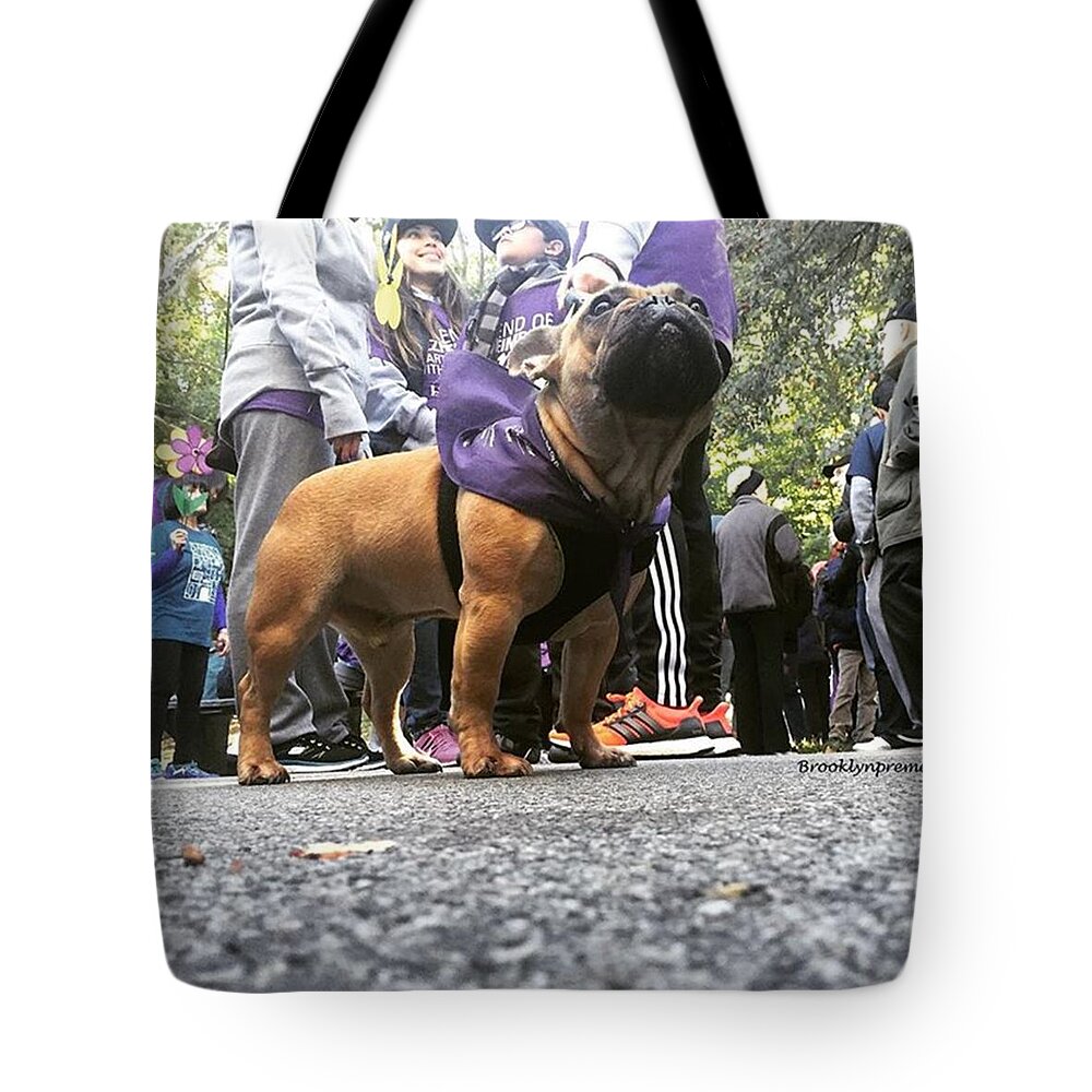 Cause Tote Bags