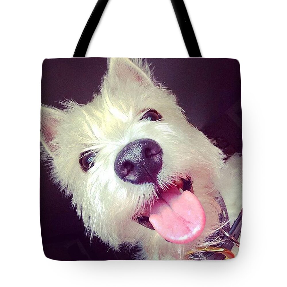 Westie Tote Bag featuring the photograph Happy Westie by Kate Arsenault 