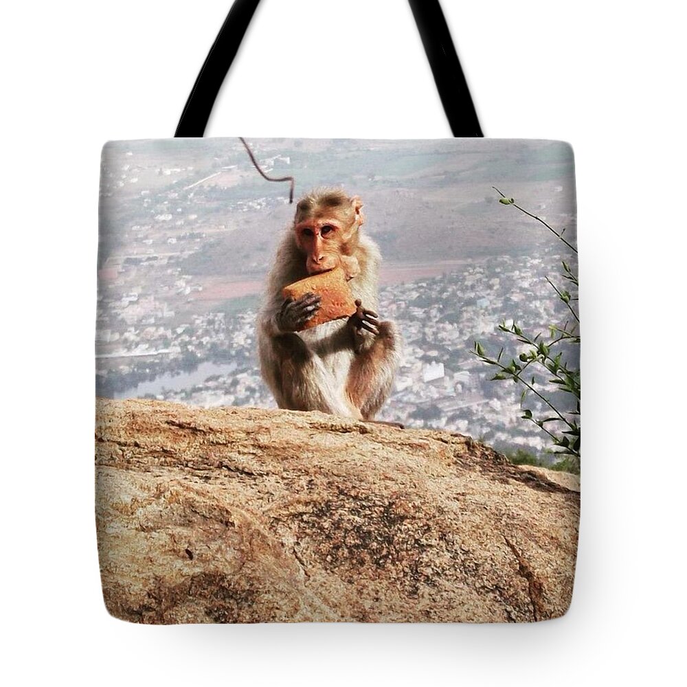 Summer Tote Bag featuring the photograph Lunch time treat by Charlotte Cooper
