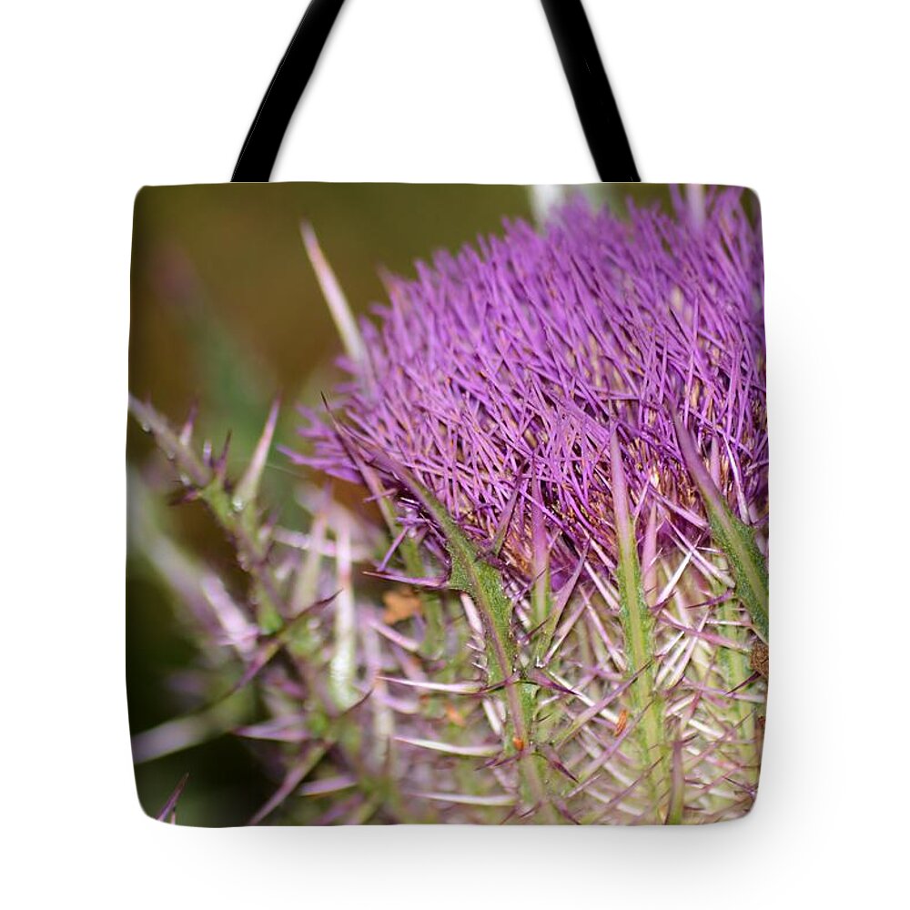 Thistle And Thorns Tote Bag featuring the photograph Thistle and Thorns by Warren Thompson