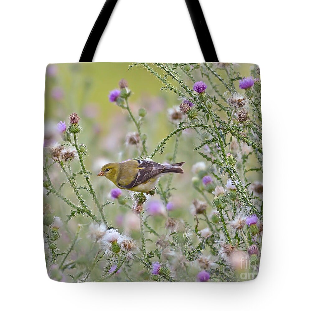 Goldfinch Tote Bag featuring the photograph Thistle Bender by Kerri Farley
