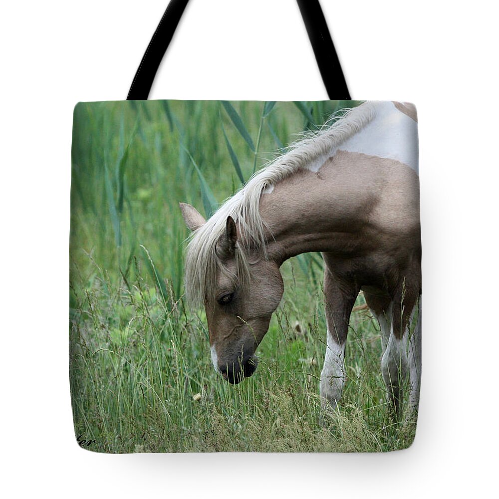 Palomino Tote Bag featuring the photograph Thistle Flower by Captain Debbie Ritter