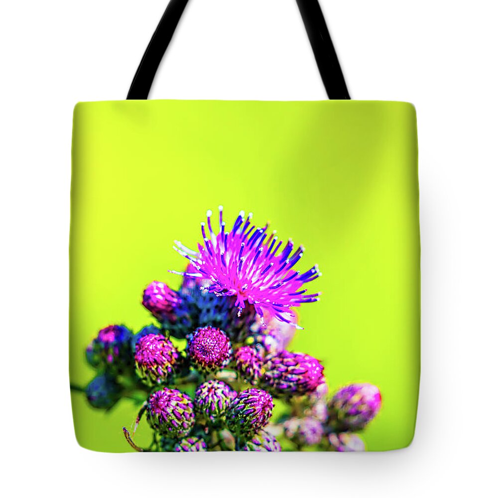 Flower Tote Bag featuring the photograph Thistle June 2016. by Leif Sohlman