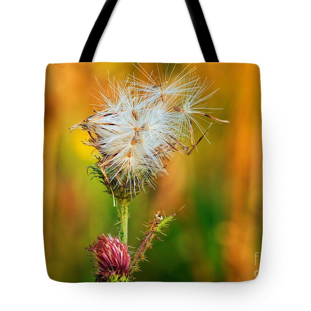 Bloom Tote Bag featuring the photograph Thistle seeds by Les Palenik
