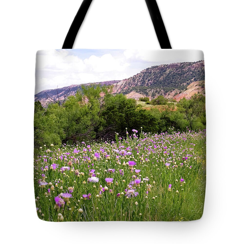 Canyon Tote Bag featuring the photograph Thistles in the Canyon by Adam Reinhart