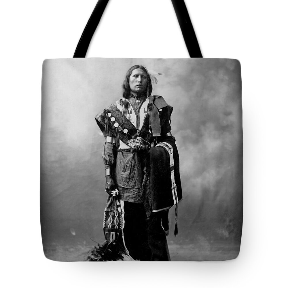 Thomas American Horse Tote Bag featuring the painting Thomas American Horse by MotionAge Designs