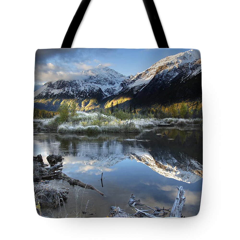 Alaska Tote Bag featuring the photograph Thoreau by Ed Boudreau