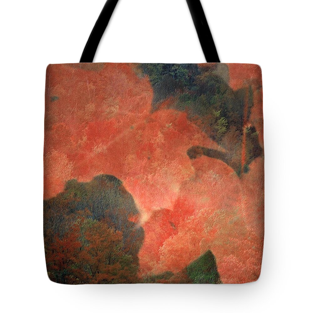 Fall Leaves Tote Bag featuring the photograph Thornbury by DArcy Evans