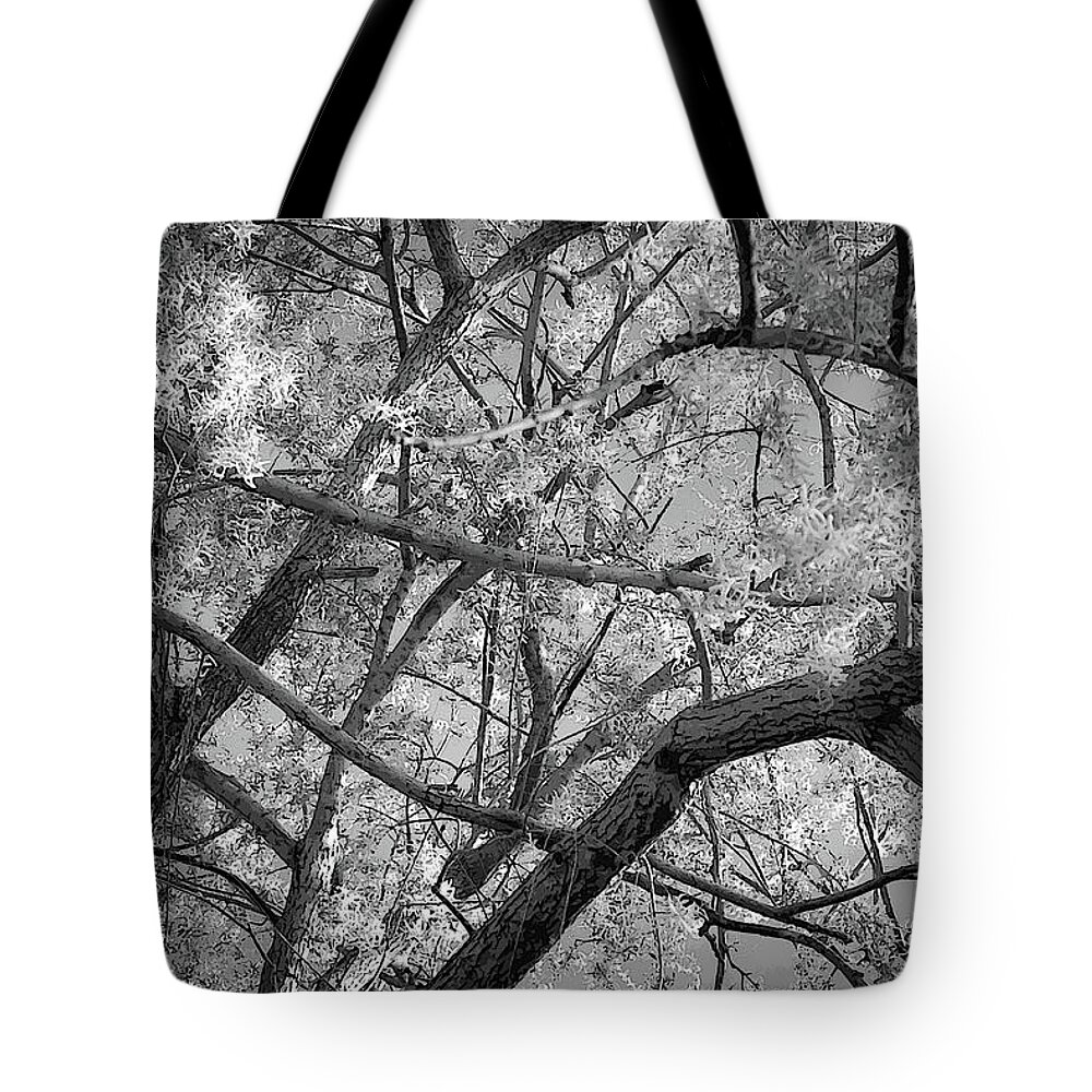 Branches Tote Bag featuring the photograph Those Branches - by Julie Weber