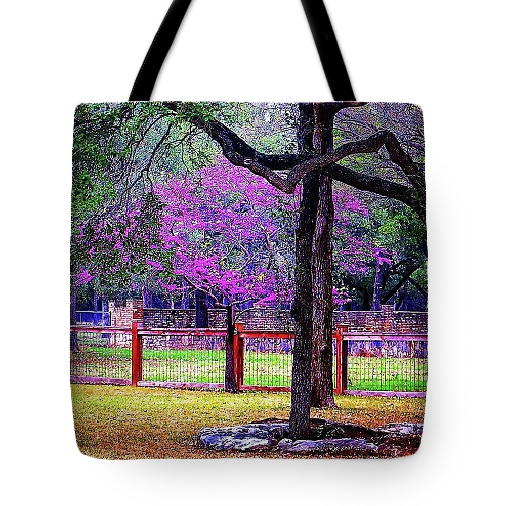 Beautiful Tote Bag featuring the photograph Those #texas #redbud #trees Are Early by Austin Tuxedo Cat