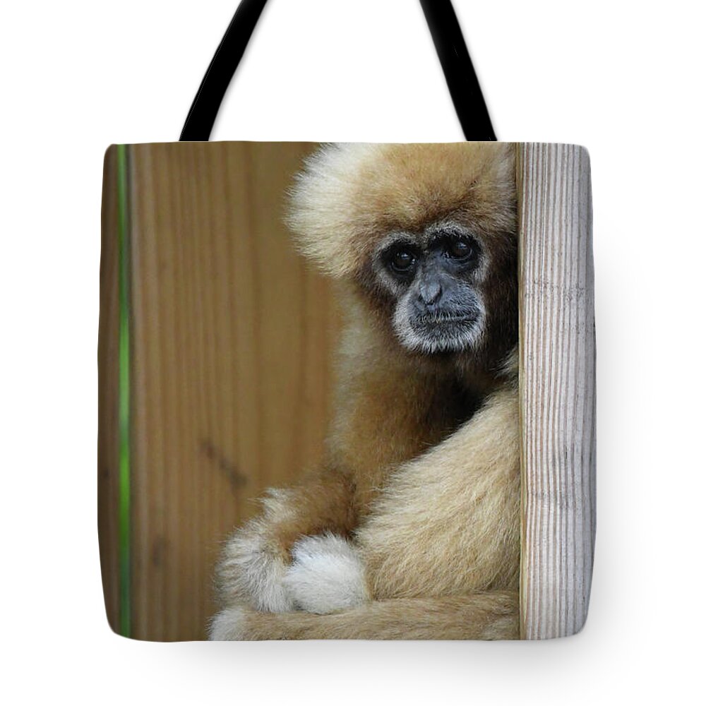 Monkey Tote Bag featuring the photograph Thoughtful by Artful Imagery