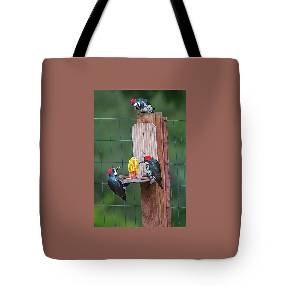 Mark Miller Photos Tote Bag featuring the photograph Three Backyard Woodpeckers by Mark Miller
