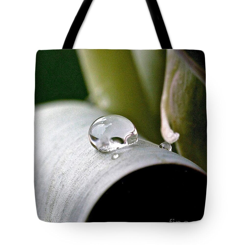 Drops Tote Bag featuring the photograph Three On A Leaf by Elisabeth Derichs