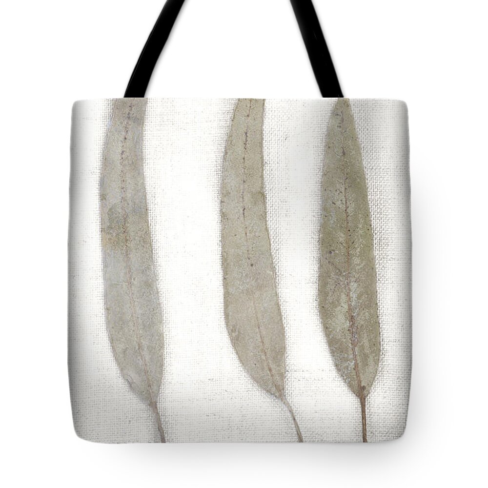 Carol Leigh Tote Bag featuring the photograph Three Eucalyptus Leaves by Carol Leigh