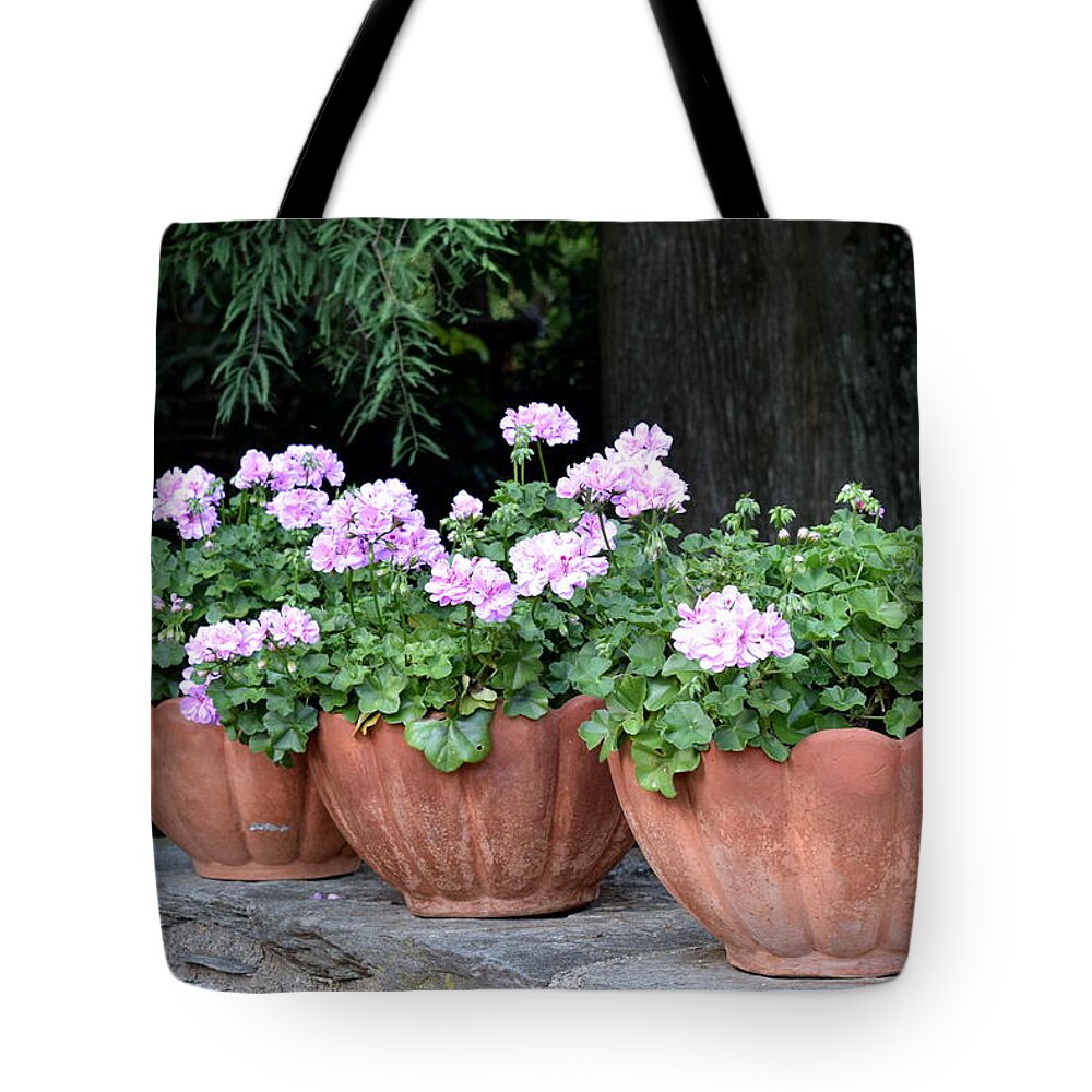 Flowers Tote Bag featuring the photograph Three Flower Pots by Deborah Crew-Johnson