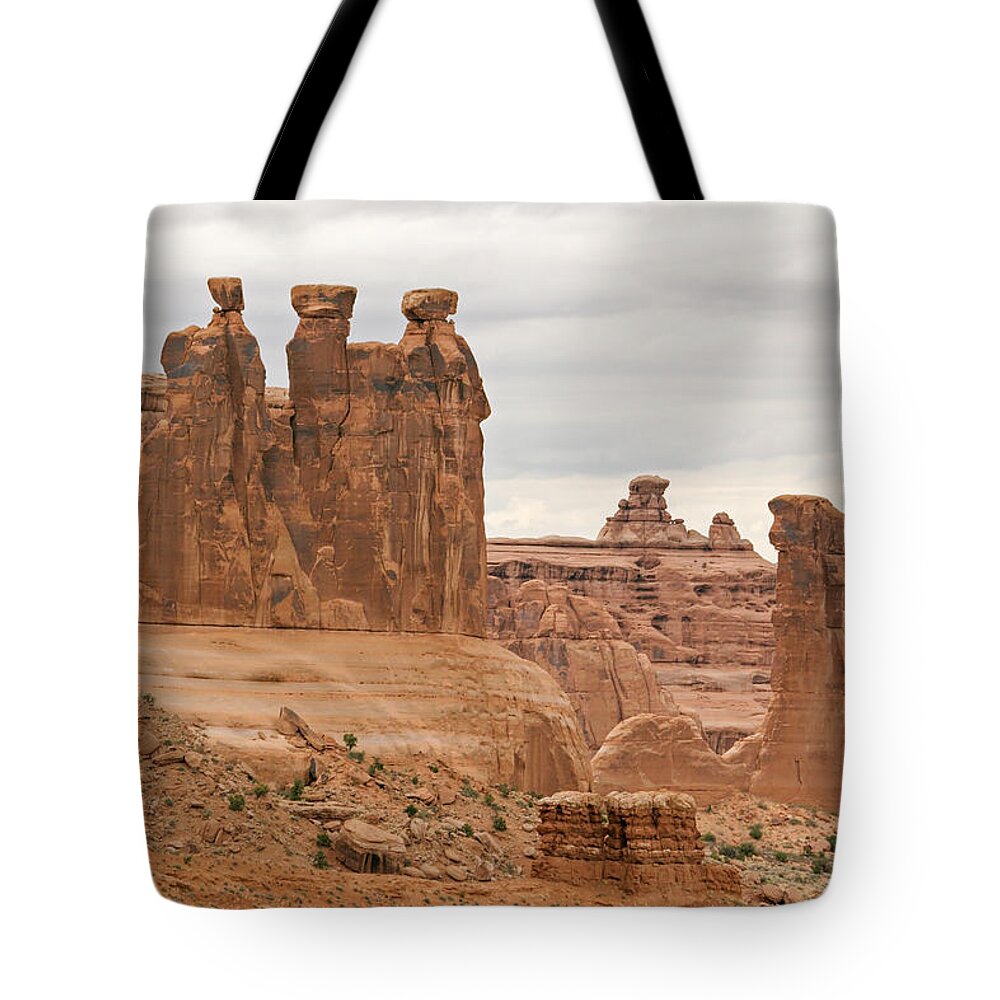 Stone Tote Bag featuring the digital art Three Gossips by Peter J Sucy