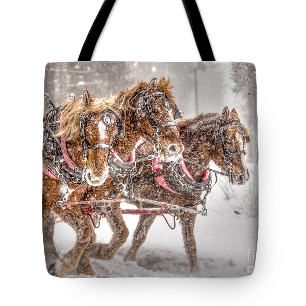 Horses Tote Bag featuring the photograph Three Horses - Color by Rod Best