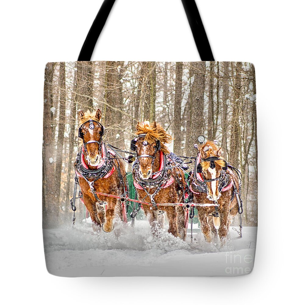 Winter Tote Bag featuring the photograph Three Horses Running by Rod Best