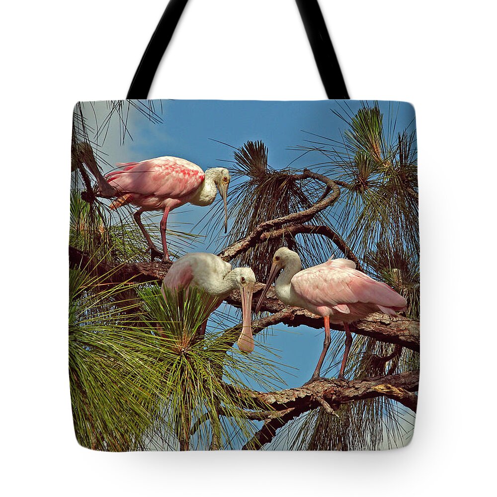 Nature Tote Bag featuring the photograph Three in a Tree by Peggy Urban