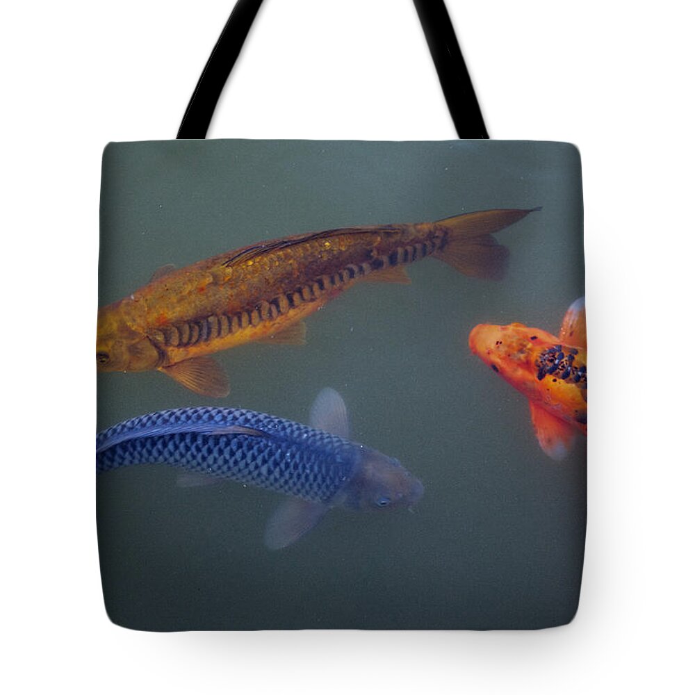 Pond Fish Tote Bag featuring the photograph Three koi by Steve Gravano