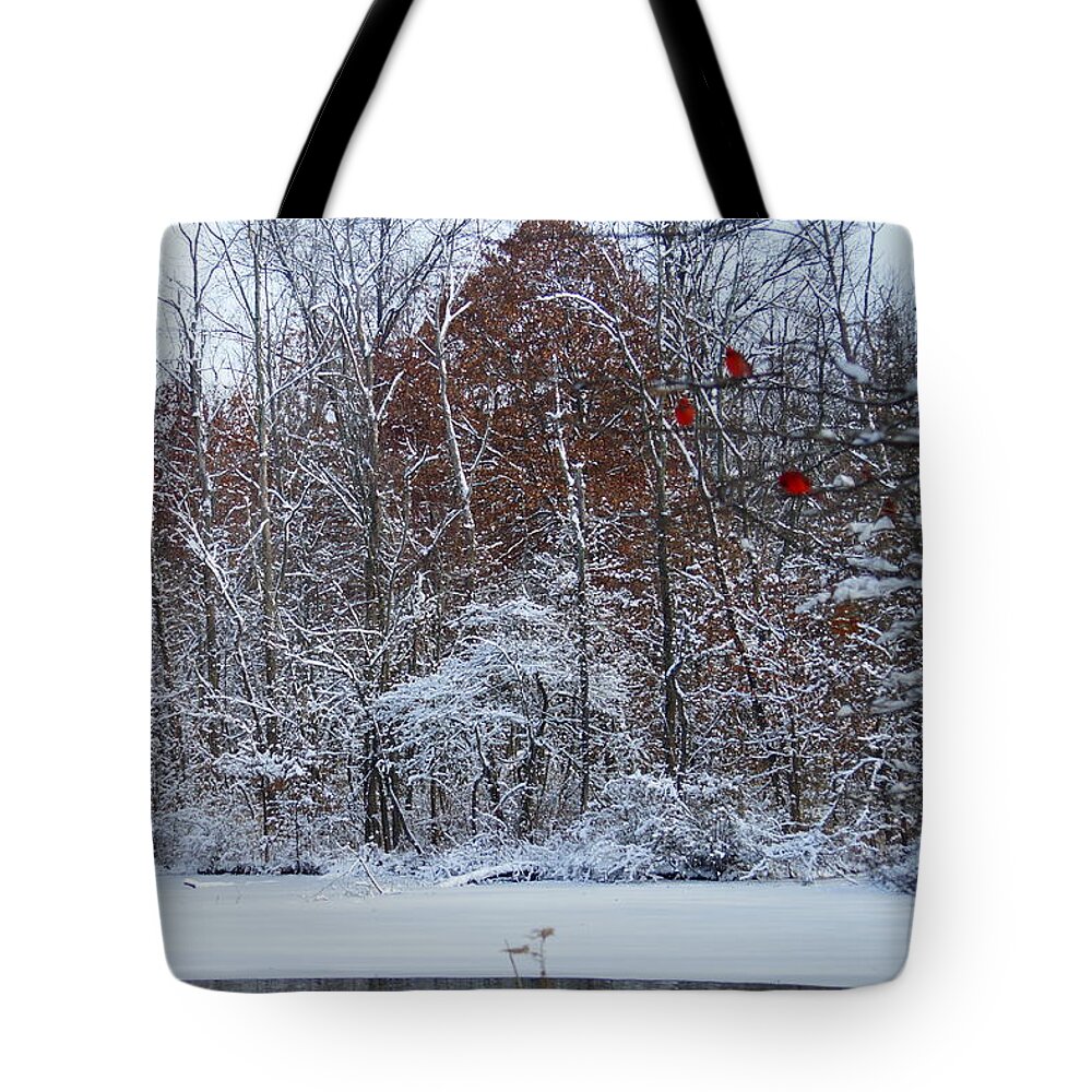 Birds Tote Bag featuring the photograph Three Little Red Birds Sitting in a Tree by Beth Collins